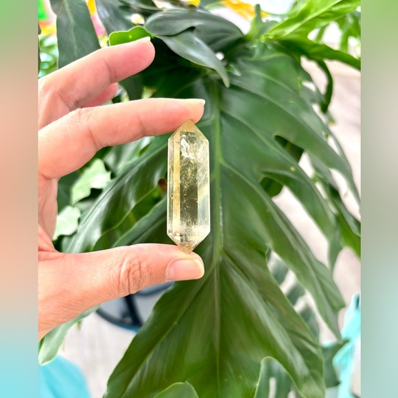 Other - Double terminated Tibetan Citrine